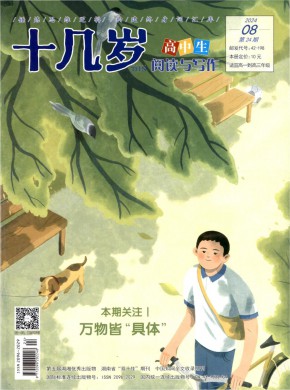 十几岁期刊